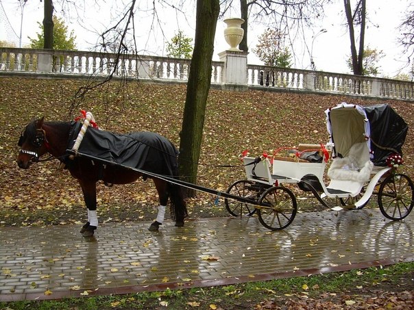 Катание в экипаже