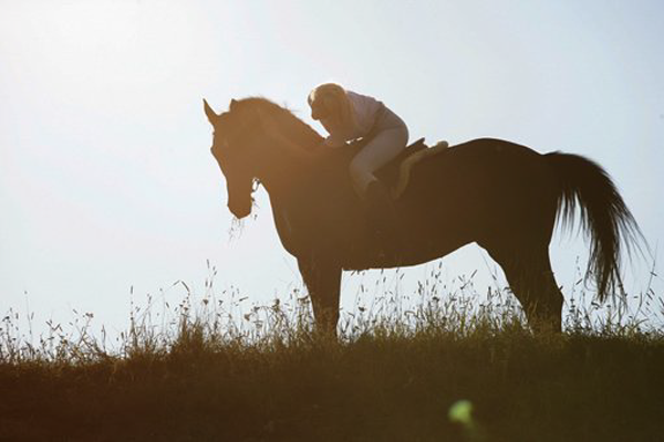Катание на лошадях по живописной местности