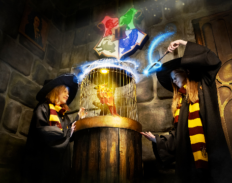 Квест «Гарри Поттер: заклятие Хогвартса»