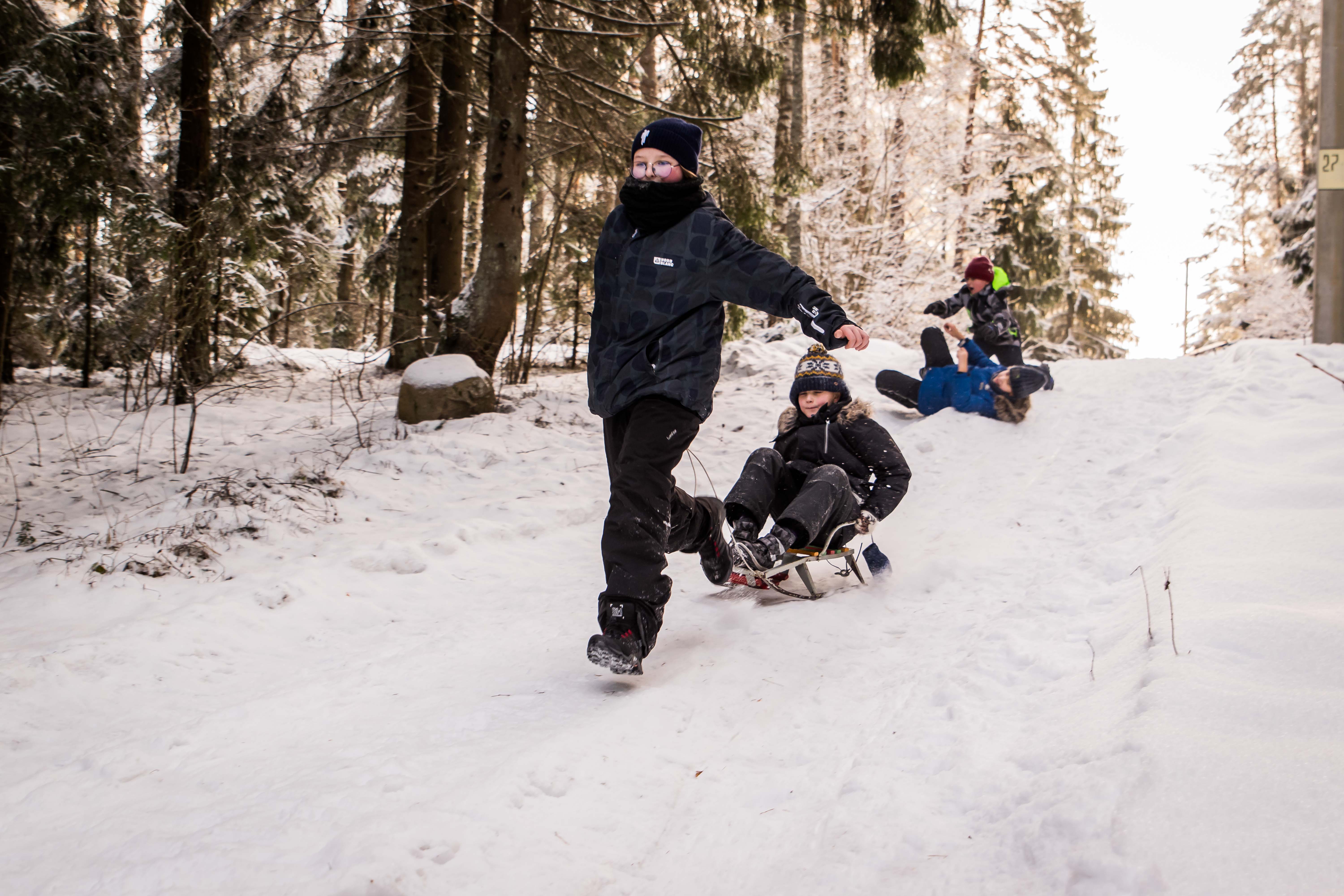 Детский однодневный скаутский поход
