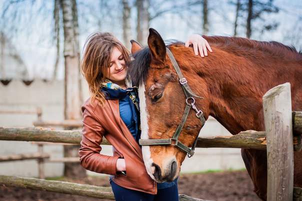 Прогулка на лошадях в Прилепском заповеднике