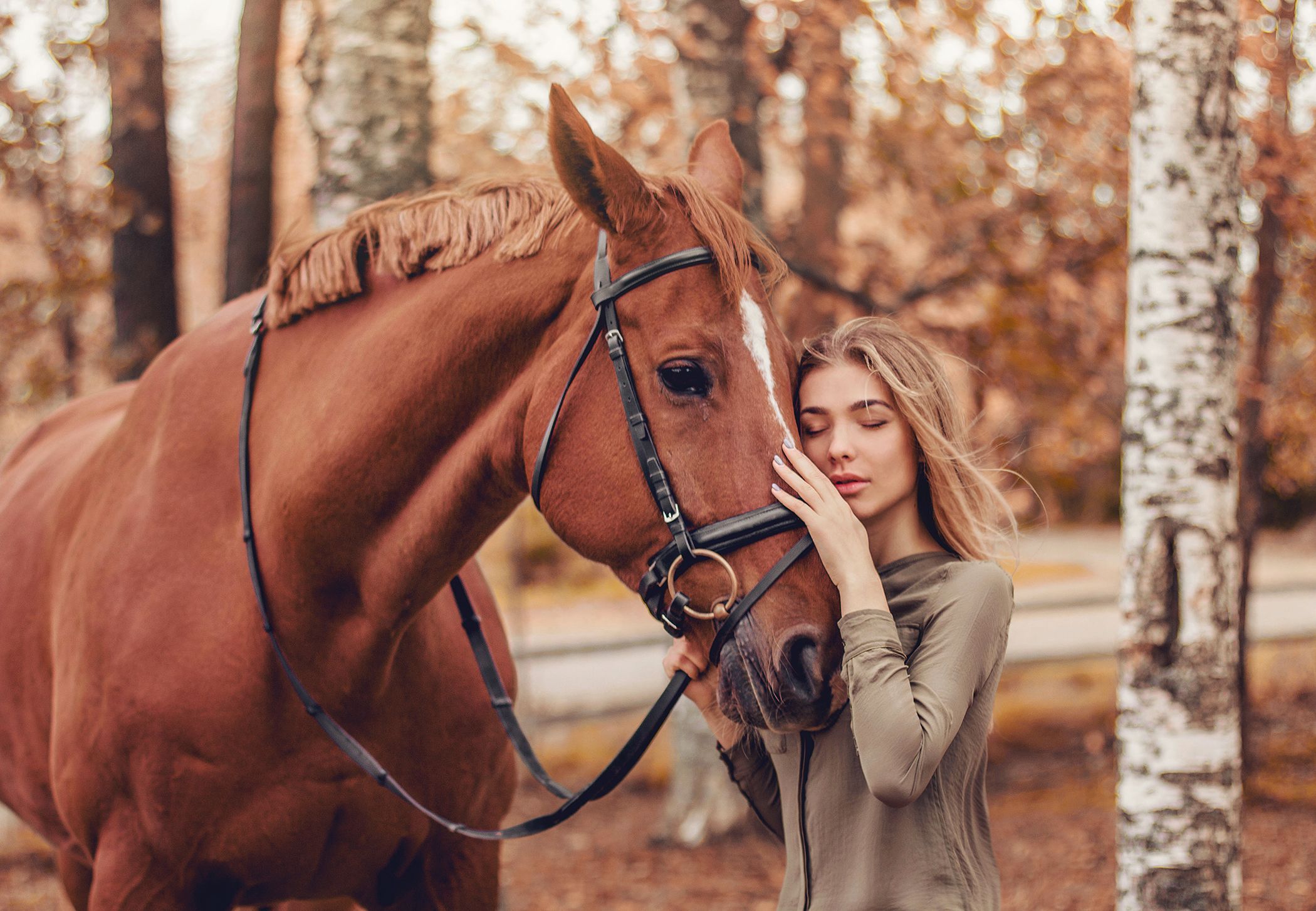 Романтическая прогулка на лошадях для двоих
