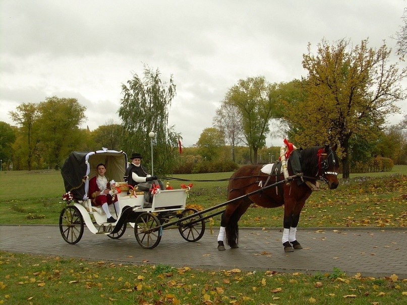 Романтическая прогулка на лошадях для двоих