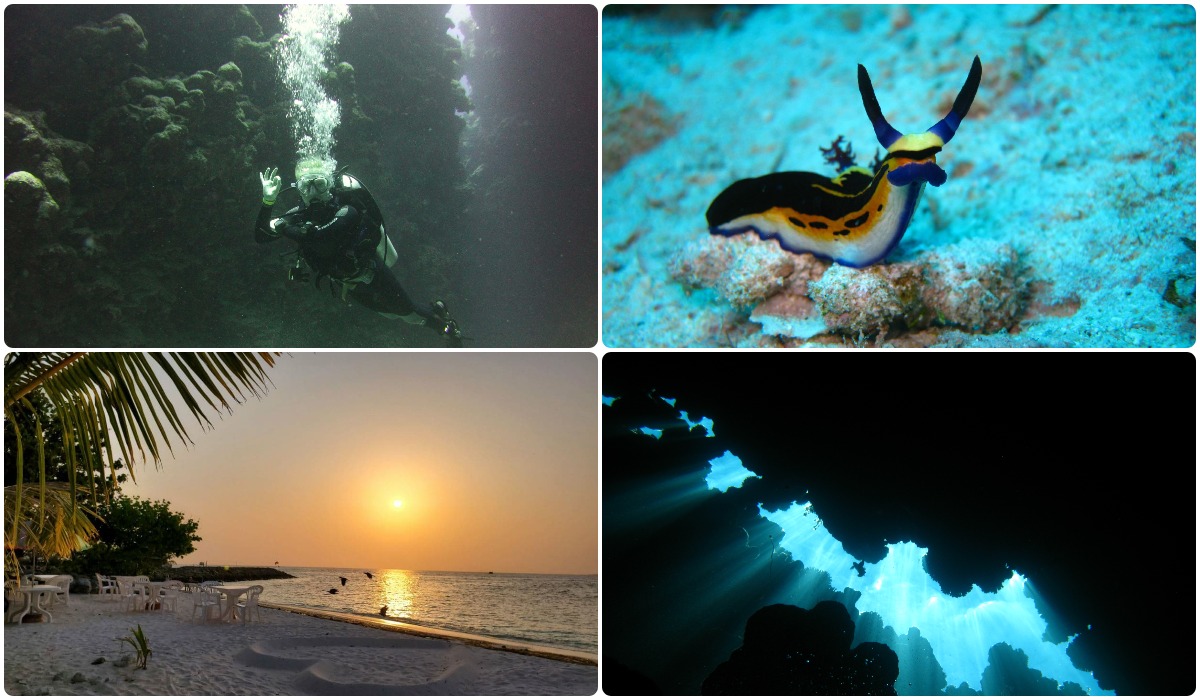 Интро-дайв: пробное погружение под контролем опытного инструктора